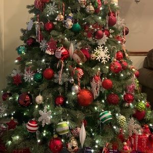 Meet your Posher, Lorissa